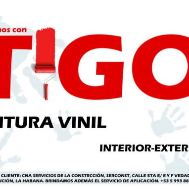 Pinturas de Vinil - Img 120755057