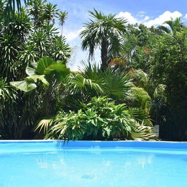 casa de alquiler de lujo en MIRAMAR, PLAYA. Contacta al +5363689791 - Img 82803548