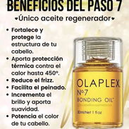 Olaplex - Img 55670473