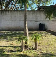 C vende casa finca en marianao - Img main-image-49936766