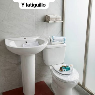 Juegos de baños completos y tasa tanque de descarga al piso y a la pared con los herrajes inportados - 9/10