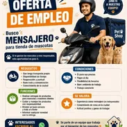 Se Busca Mensajero Responsable - Img 56625288