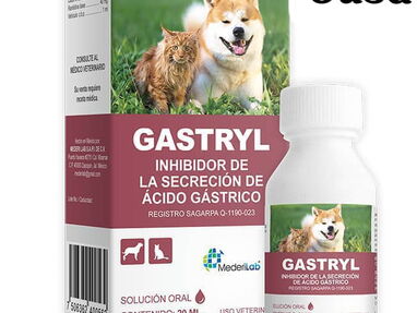 Gastril - Ranitidina para perros y gatos. - Img main-image-45151790