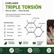 ROLLO 50M ENREJADO para conejeras o jaulas TRIPLE TORSION 19X0,70X100 - Img 57089797