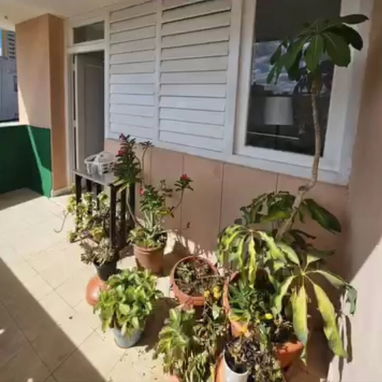 Renta por meses en Vedado 3 cuartos 600 usd 53582376 - Img 122352227