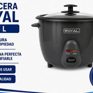 Arroceras - Img 55938767