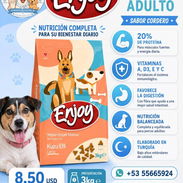 Pienso para perros - Img 56395449