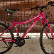 Bicicleta - Img 55755903