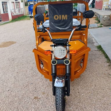 Triciclo Eléctrico de Carga - 2/7