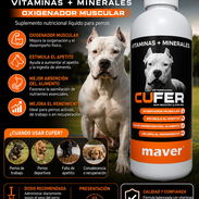 Suplemento vitaminico para perros - Img 58358029