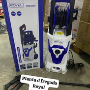 Planta d fregado royal - Img 56914294