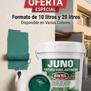 !!🎨#SE #VENDEN #PINTURAS DE #ALTA💯 #CALIDAD #PARA #SU #HOGAR 🏠!! ✅ 👉🏼wa.me/59529927 .TENEMOS PRODUCTOS PARA INTER - Img 55469668
