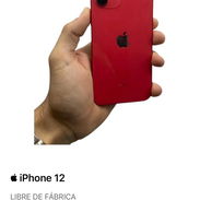 Iphone 12 - Img 54969873