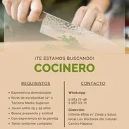 BUSCAMOS COCINERO - Img 56105930