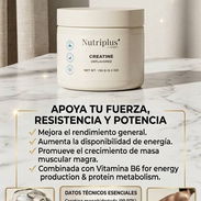 CREATINA NUTRIPLUS 150gr 30 servings Monohidratada (99.97%), Vitamina B6 (0.03%). - Img 55443136