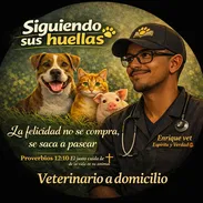 Vacuna Pentabalente a domicilio, veterinario a domicilio - Img 52229247