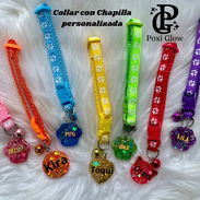 Collares personalizador para perros y gatos - Img 56332284