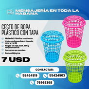 🧺 CESTO DE ROPA PLÁSTICO CON TAPA Precio: 7 USD Colores disponibles: Rosado, verde y azul - Img 57547519