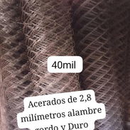 Rollos de cerca perle - Img 58178174