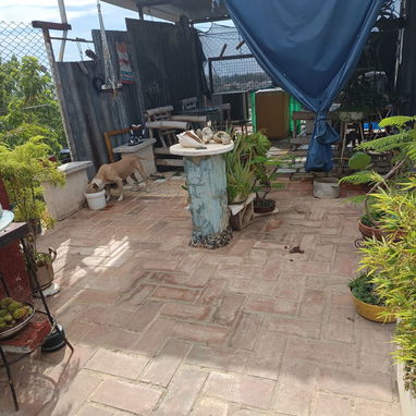 APARTAMENTO EN PLAYA ( NO HAY AJUSTE DE PRECIO ) - 7/7