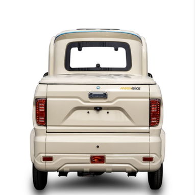 Triciclo Eléctrico Tipo Pick-up SK-2101*Online - 6/9