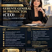 Buscamos GERENTE GENERAL DE PROYECTOS - Img 57985555