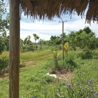 Finca en Venta - Img 125730995