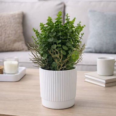 Planta decorativa artificial con maceta 🌿✨    💰Precio: 17 USD  características 👇 casa viva - Img 122281488