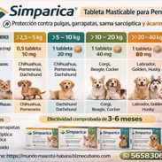 Simpárica todos los pesos - Img 54489154