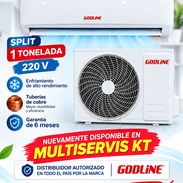 Split GODLINE de 1 tonelada - Img 57944718