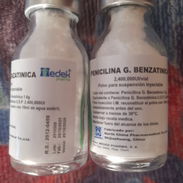 Penicilina benzatinica - Img 56558016