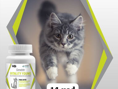 Vitaminas y suplementos para perros y gatos. Vitality/Prosense/Lassy/Fortex - Img 62154403