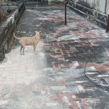 Venta de casa en C. Habana - Img 107774388