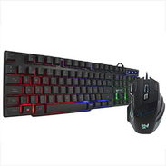 KIT DE MOUSE Y TECLADO // 53258933 - Img 44897693