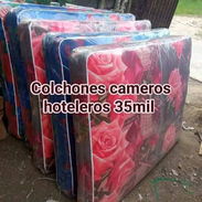 Disponible - Img 54889834