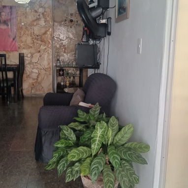 San Agustín - 7/10