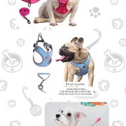 Suministros para mascotas - Img 56158829