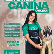 Estética canina - Img 56124070