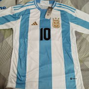Camiseta fútbol Argentina 2024 - Img 56761629