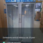 Exhibidora milexus de20 pies - Img 55914371