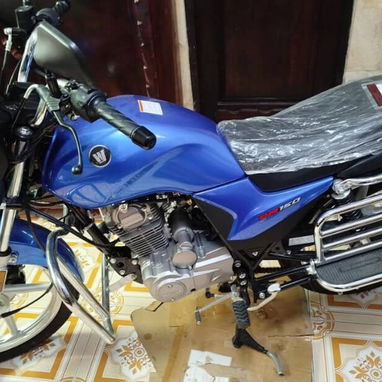 MOTO HAOJUE DM 150 CC - Img 108253884