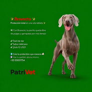 Bravecto (20-40kg) Medicina Veterinaria - Img 57543911
