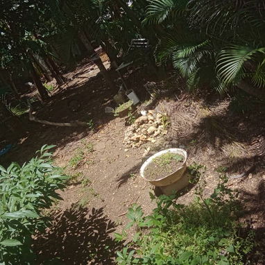Casa de alto y bajo con patio - 3/10