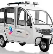 Triciclos RALI Pick Up / Capacidad de carga 500 kg / Autonomía 80km / Motor 2000w 60v x 100ah / Transporte incluido - Img 46069431