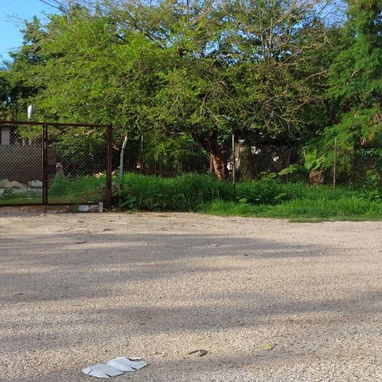🏡 Venta o Permuta de Casa en Alamar – Zona 24 - Img 125502031