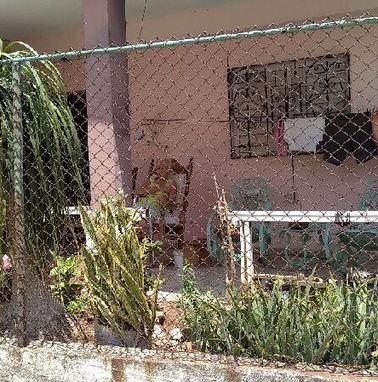 GANGA: Casa en bajos con azotea libre. Patio, garaje y terreno (vendo o permuto) - Img 91165675