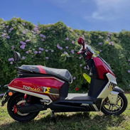 MOTO ELECTRICA TOPMAQ E4 - Img 57137676