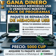 Gane dinero reparando memorias usb o vendiendo nuestro pack de programas. - Img 56157065