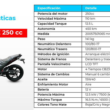 Motos de Combustión Panther - 6/8