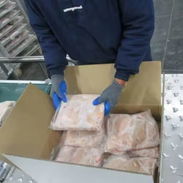 Fresh Frozen Chicken in Whole Chicken Frozen Chicken Meat for Sale Chicken Breast - Img 56654513